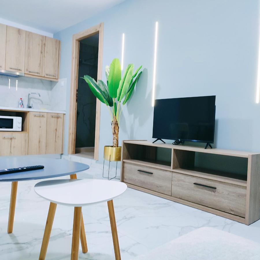 Unique By Perfect-Living Ιωάννινα Apartman Kültér fotó