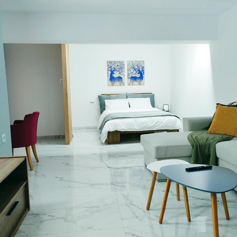 Unique By Perfect-Living Ιωάννινα Apartman Kültér fotó