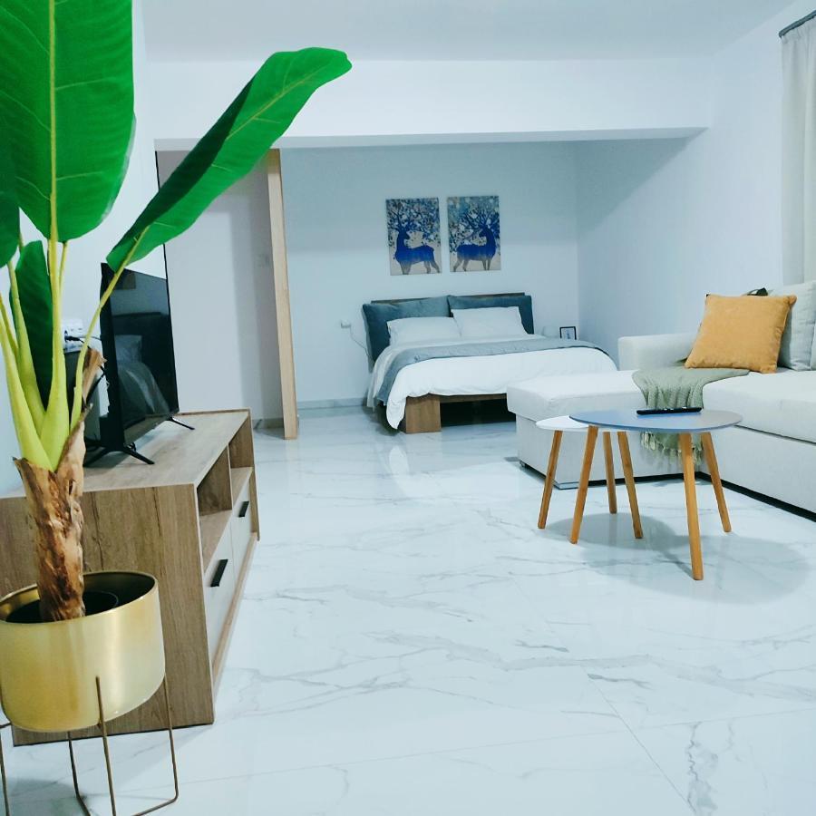 Unique By Perfect-Living Ιωάννινα Apartman Kültér fotó